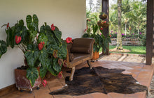 Load image into Gallery viewer, Real Cowhide Rug Dark Brindle | Decohides®