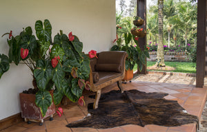 Real Cowhide Rug Dark Brindle | Decohides®